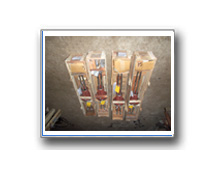 Plants: image 1 0f 4 thumb